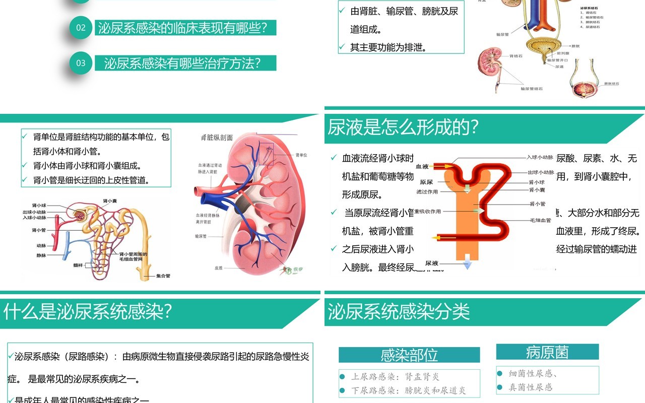 泌尿系感染护理查房医用PPT模板