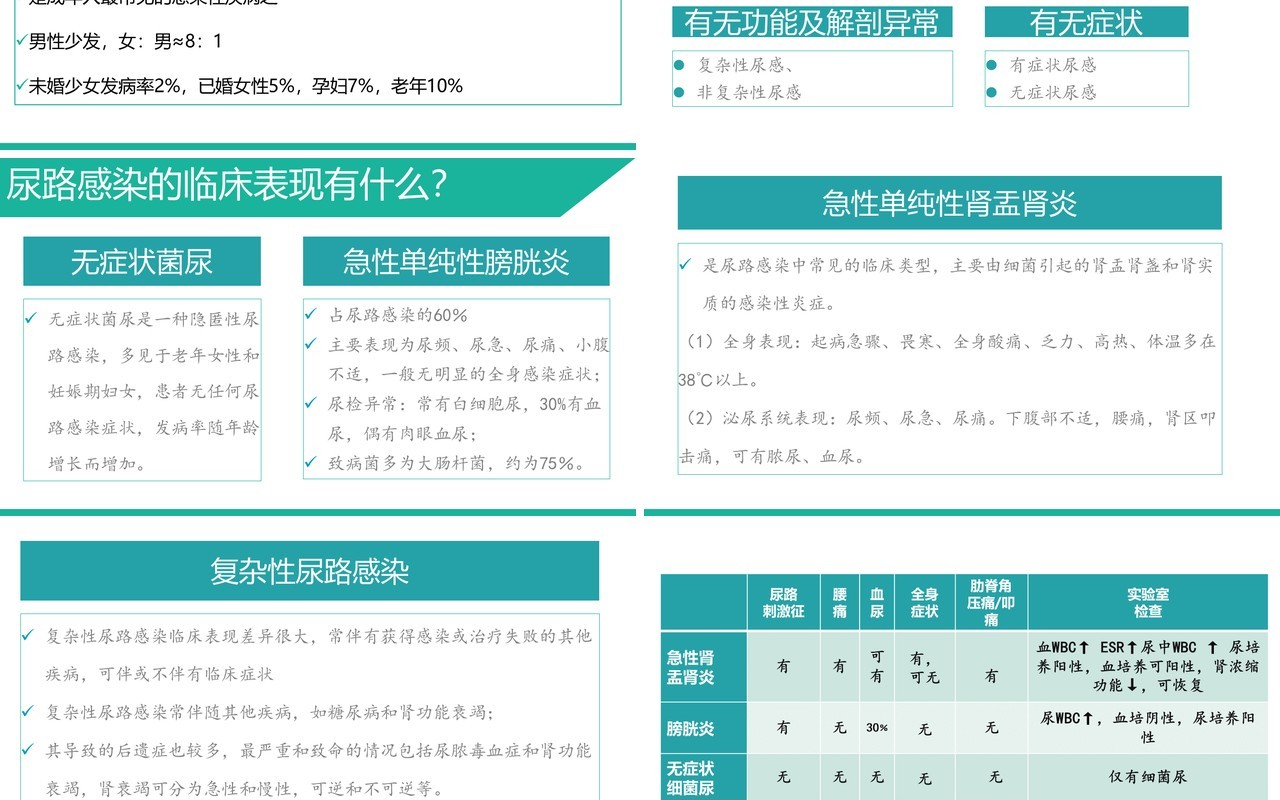 泌尿系感染护理查房医用PPT模板