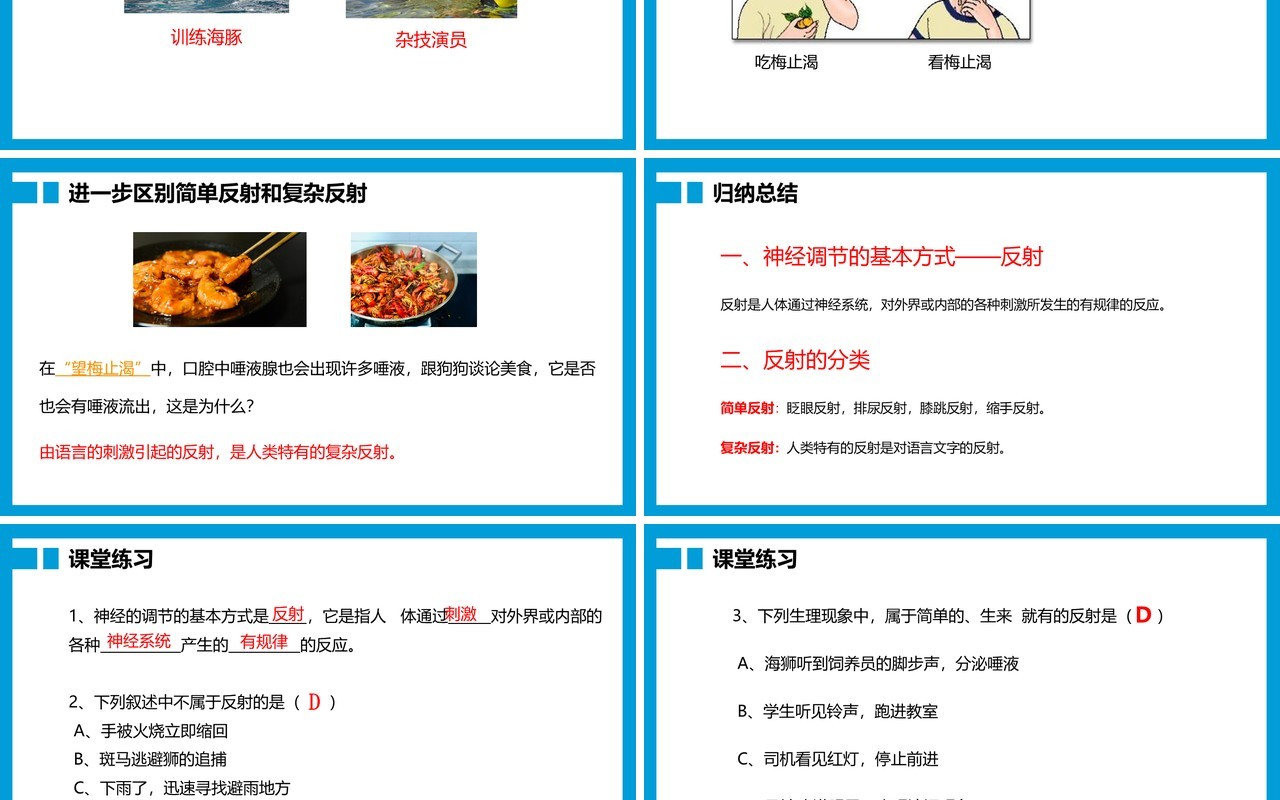 部编版九年级上册神经调节的基本方式课件PPT模板