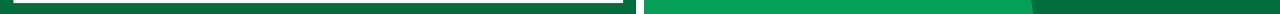 著名作家元定笔名张无诤宝葫芦的秘密动态PPT模板