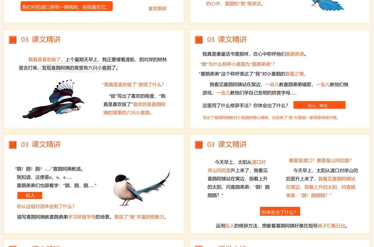部编版二年级语文下册枫树上的喜鹊课件PPT模板