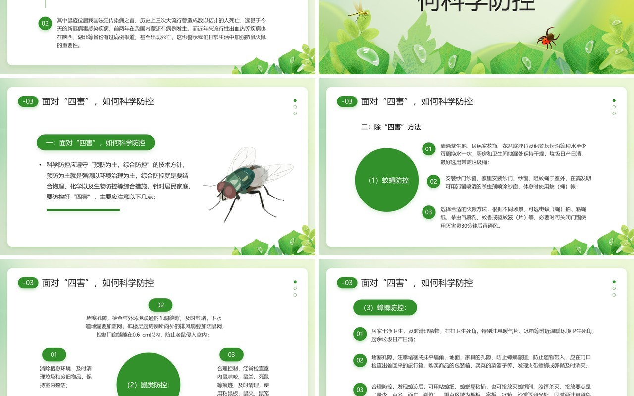 绿色简约清新风世界害虫日PPT模板