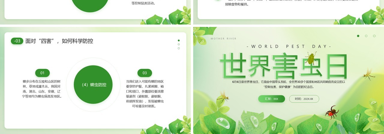 绿色简约清新风世界害虫日PPT模板