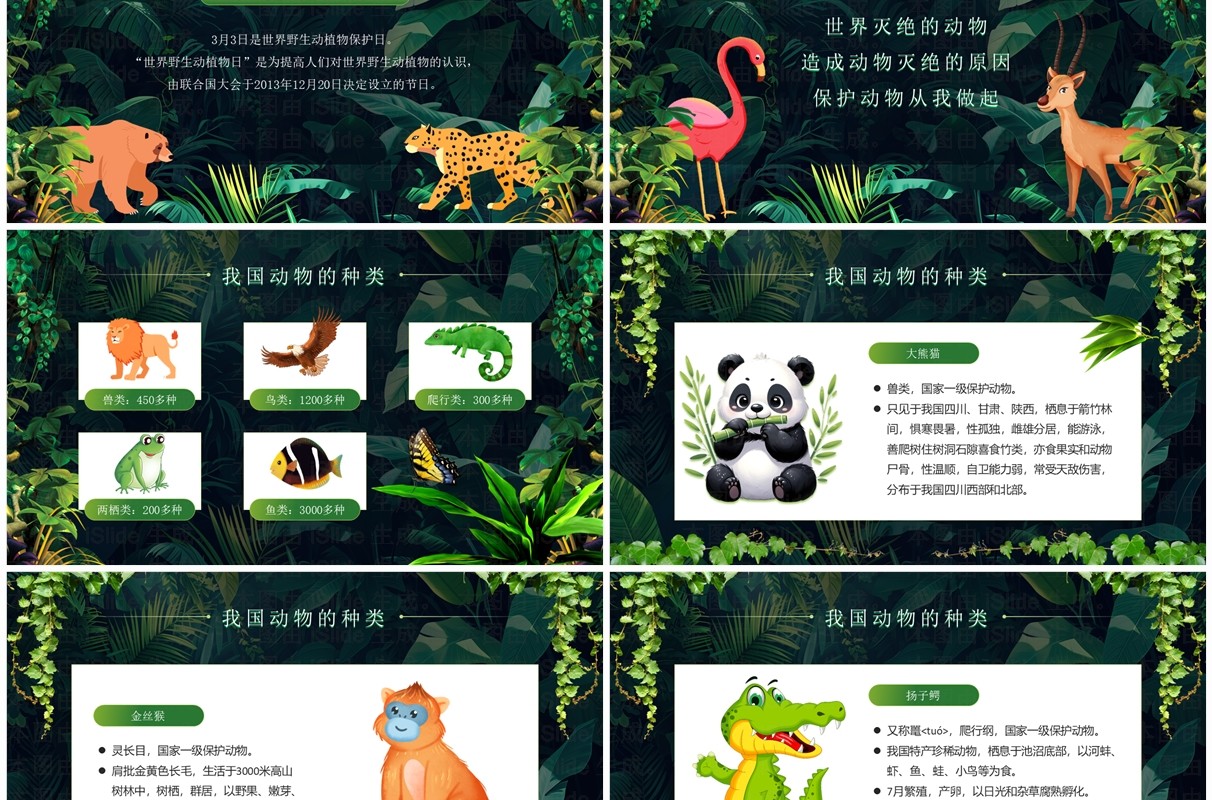 绿色卡通风世界野生动植物日PPT模板