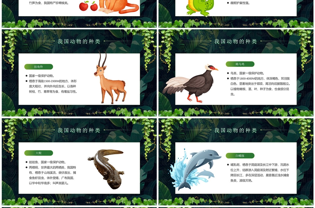 绿色卡通风世界野生动植物日PPT模板
