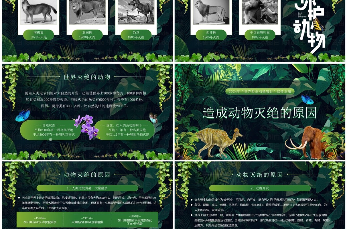 绿色卡通风世界野生动植物日PPT模板
