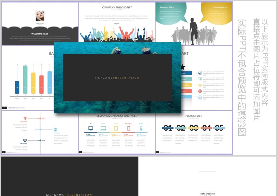 高端商务工作汇报可插图PPT模板信息图表元素MAKARYO Powerpoint