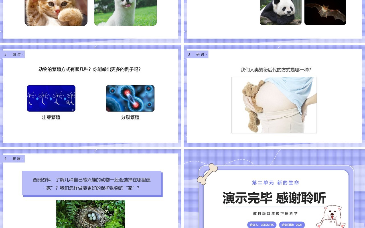 教科版四年级下册动物的繁殖课件PPT模板