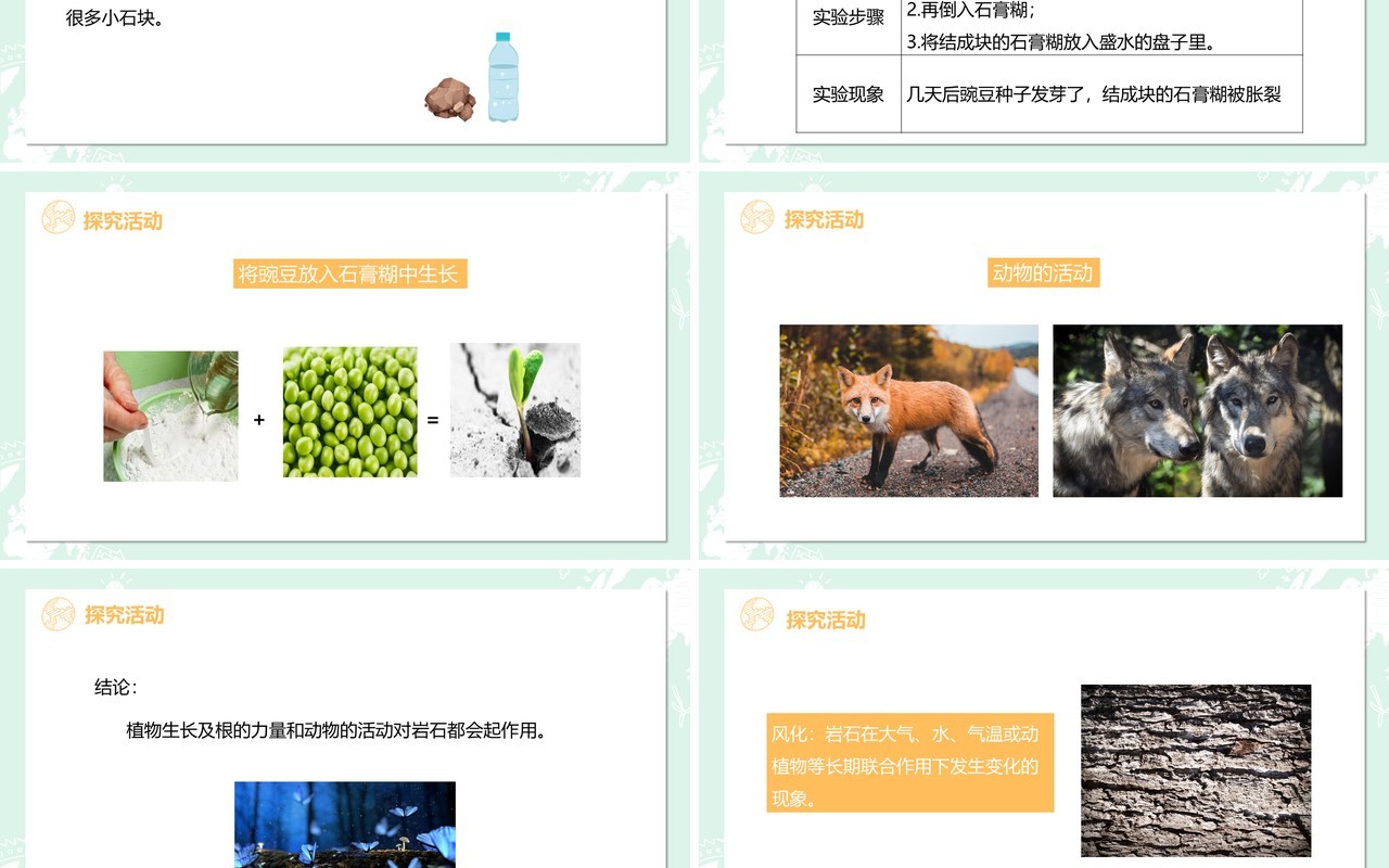 教科版五年级科学上册岩石会改变模样吗PPT模板