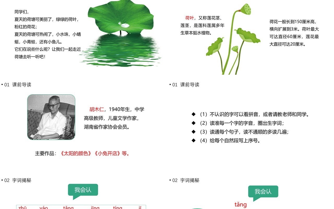 部编版一年级语文下册荷叶圆圆课件PPT模板