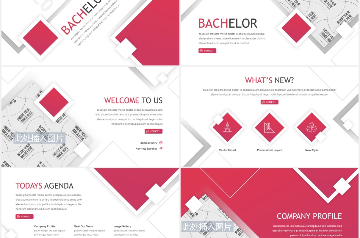 学术报告教育课件PPT图片排版设计模板Bachelor - Education PowerPoint Template