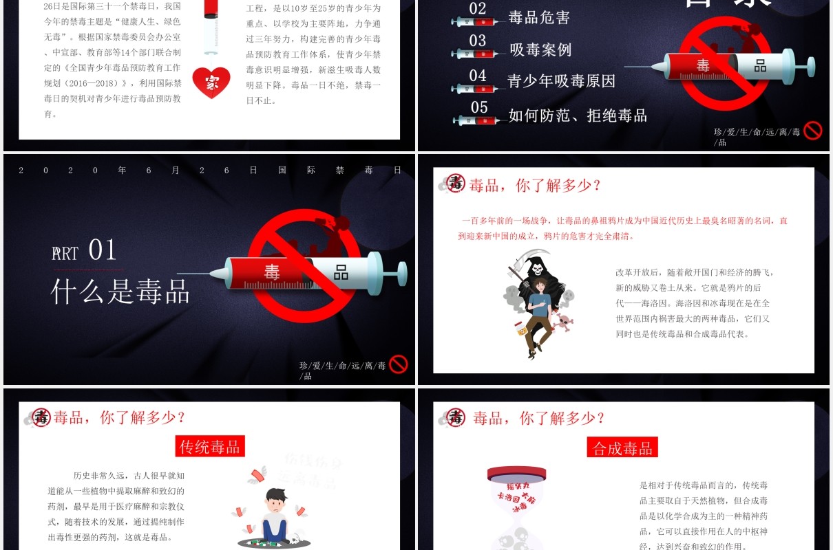 国际禁毒日宣传教育主题PPT模板