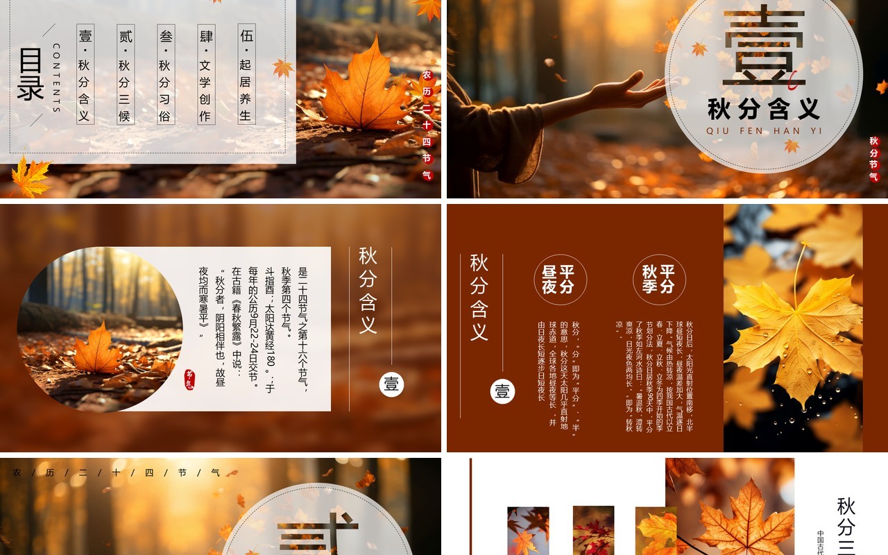 橙色中国风二十四节气之秋分PPT模板