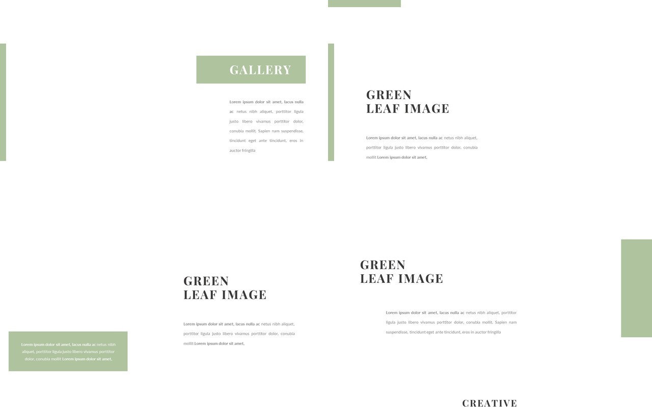 Evergreen image not include