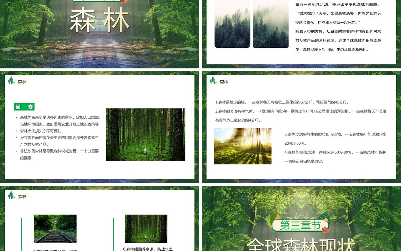 绿色简约风世界森林日PPT模板