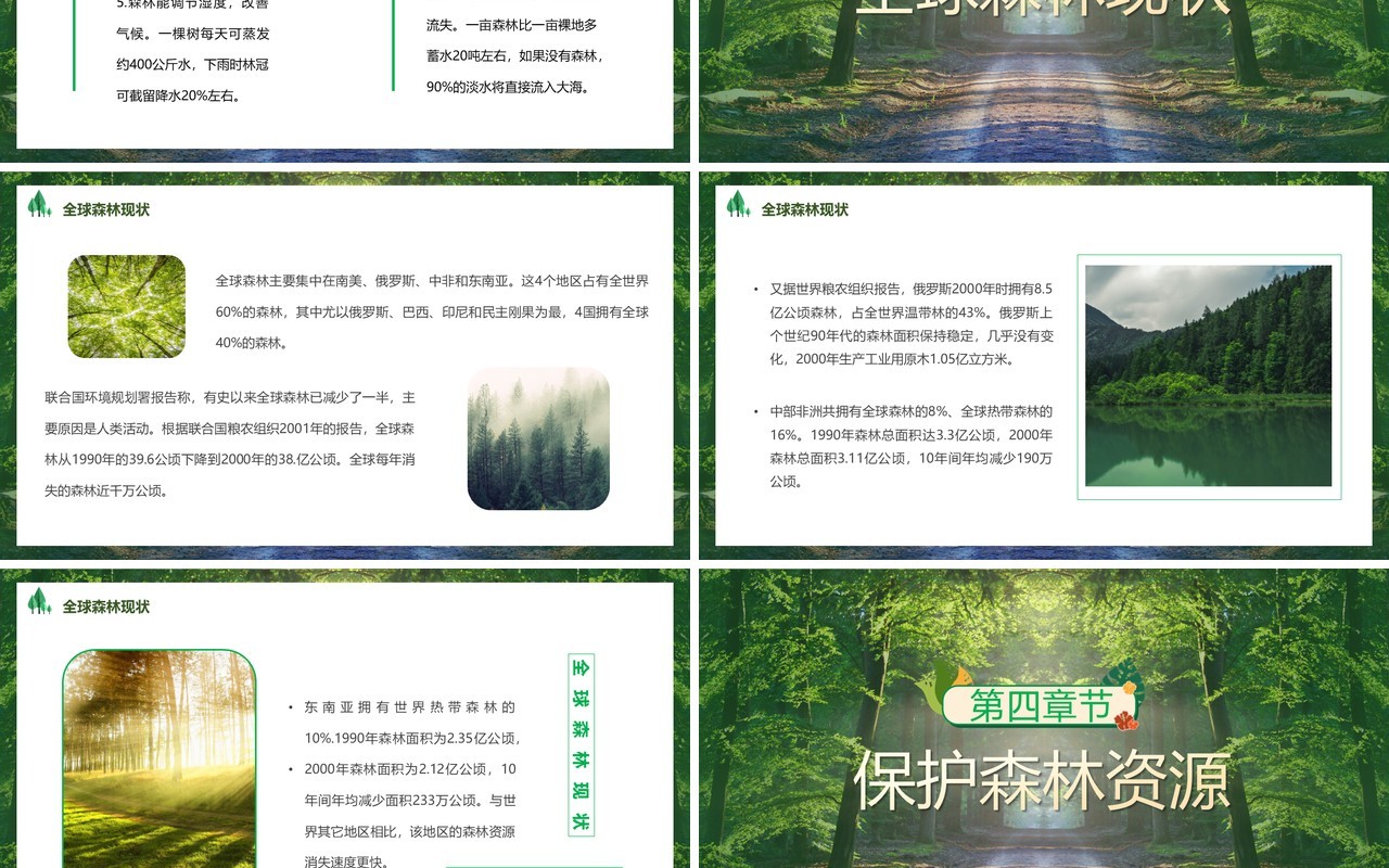 绿色简约风世界森林日PPT模板