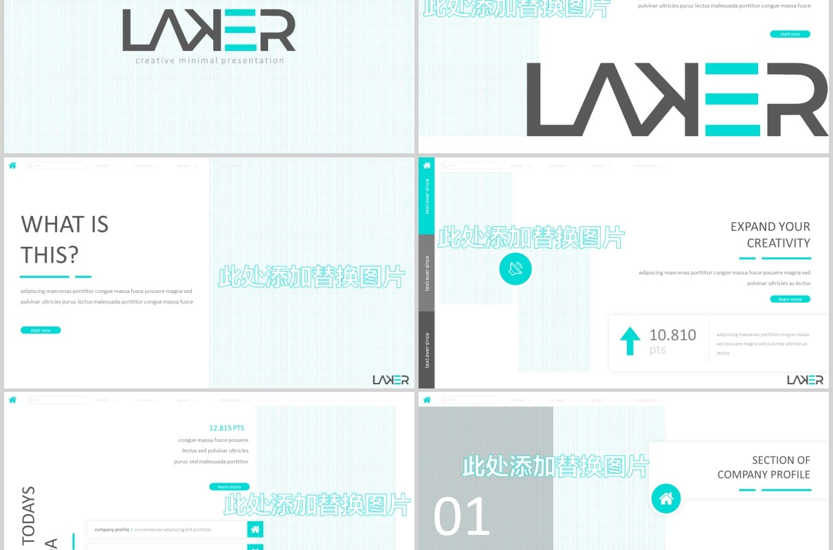 公司介绍个人简历PPT模板版式设计Laker Powerpoint Template