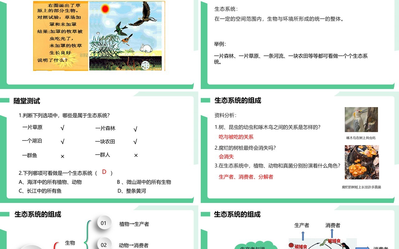 部编版七年级生物上册生物与环境组成生态系统课件PPT模板