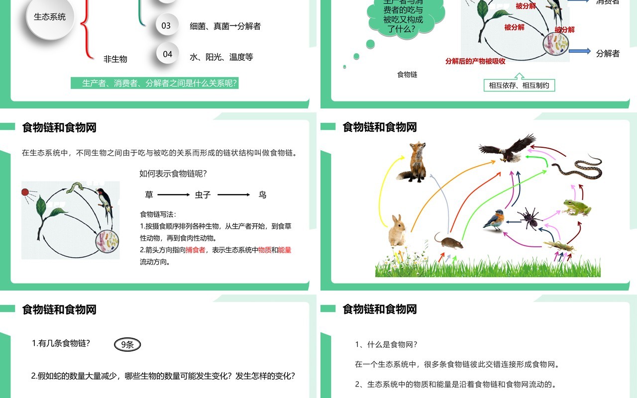 部编版七年级生物上册生物与环境组成生态系统课件PPT模板