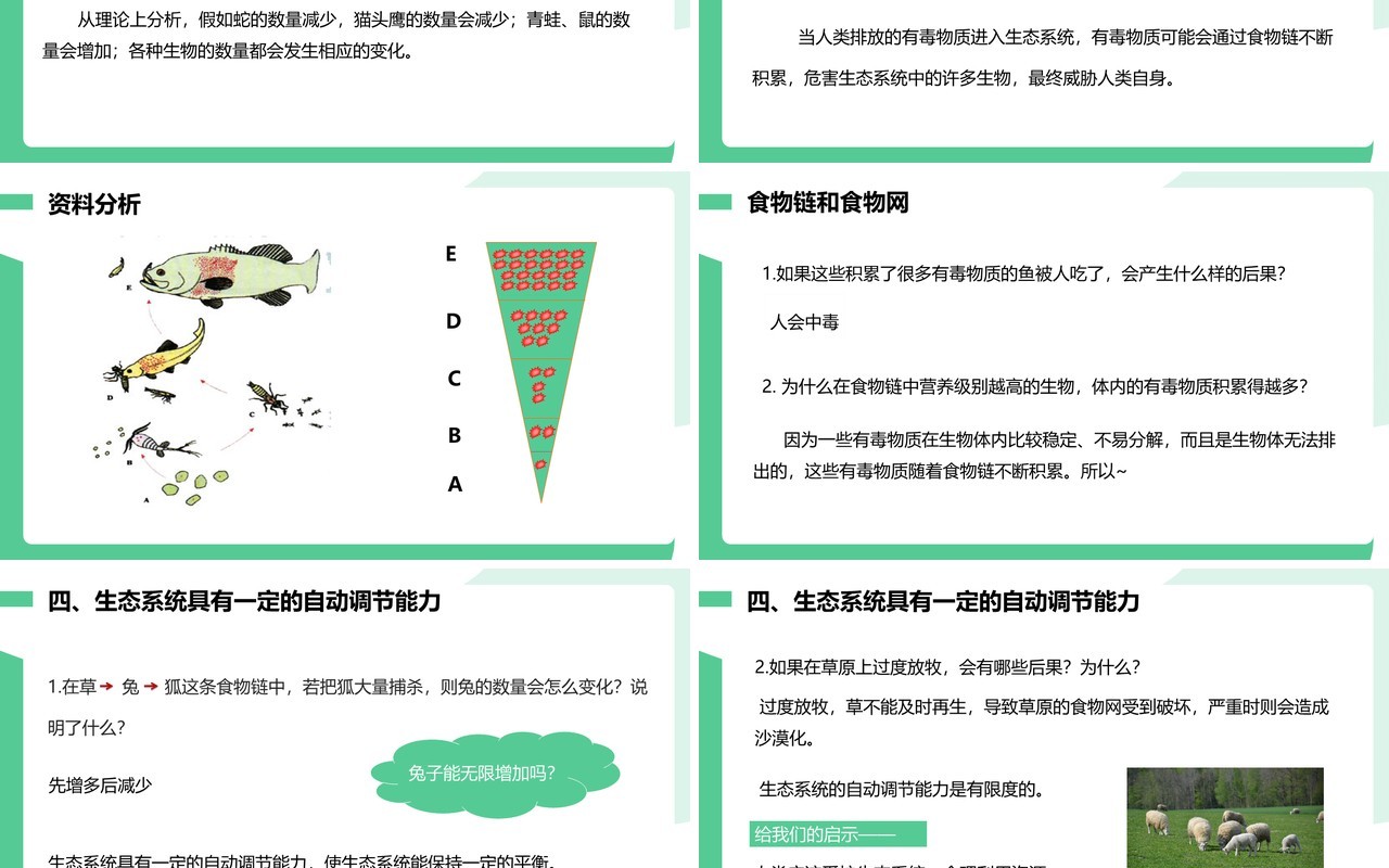 部编版七年级生物上册生物与环境组成生态系统课件PPT模板