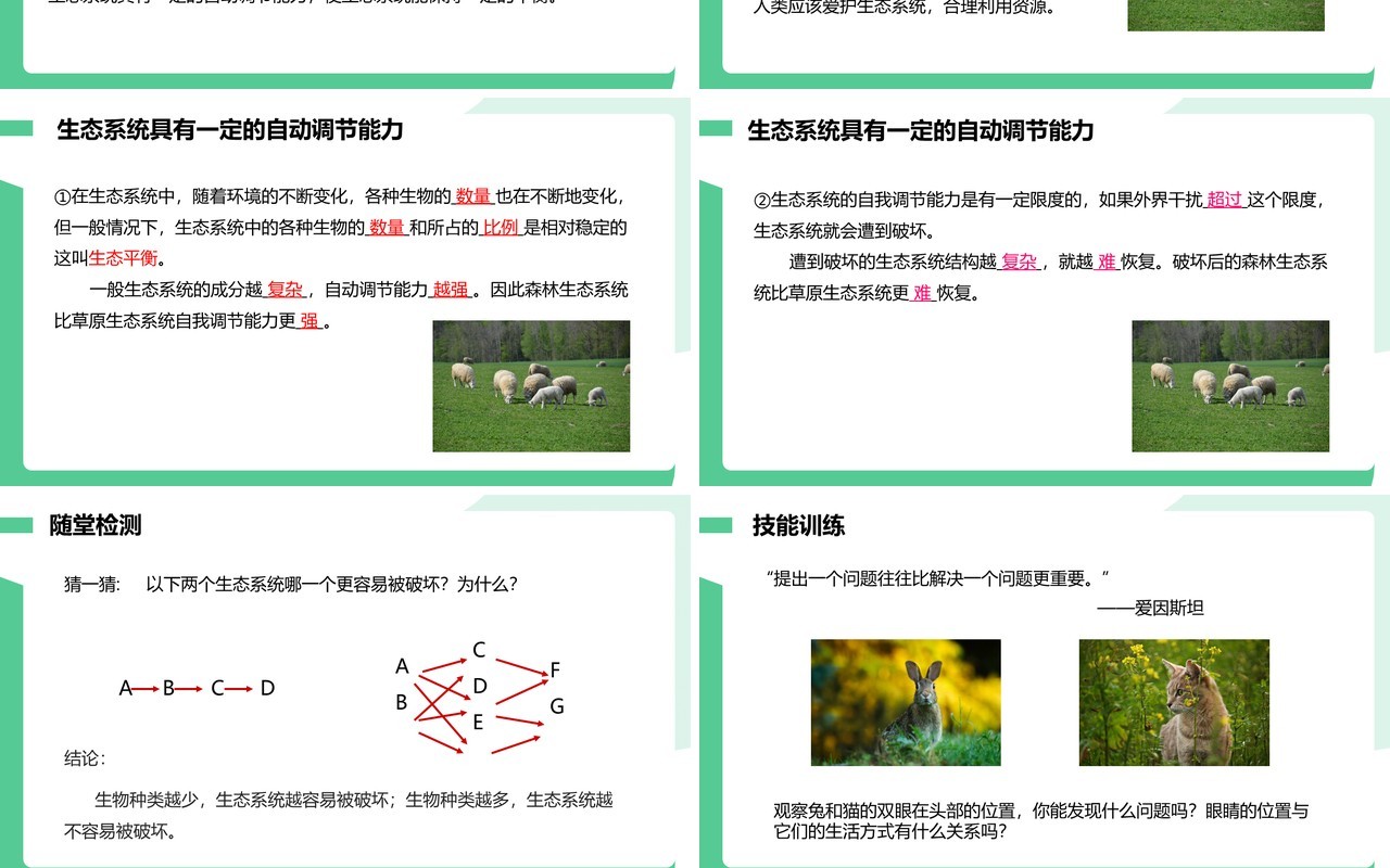 部编版七年级生物上册生物与环境组成生态系统课件PPT模板