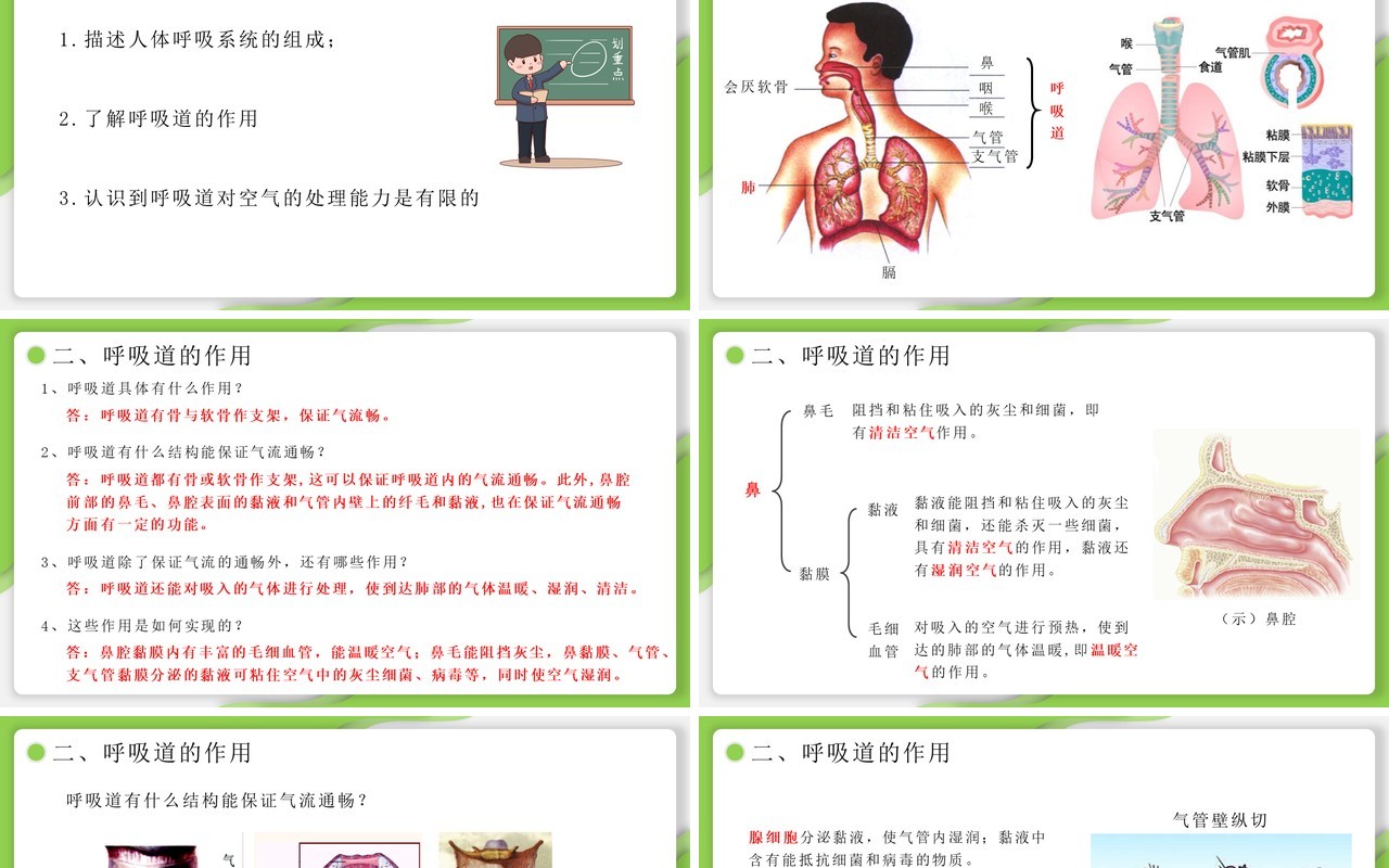 部编版七年级生物下册呼吸道对空气的处理课件PPT模板