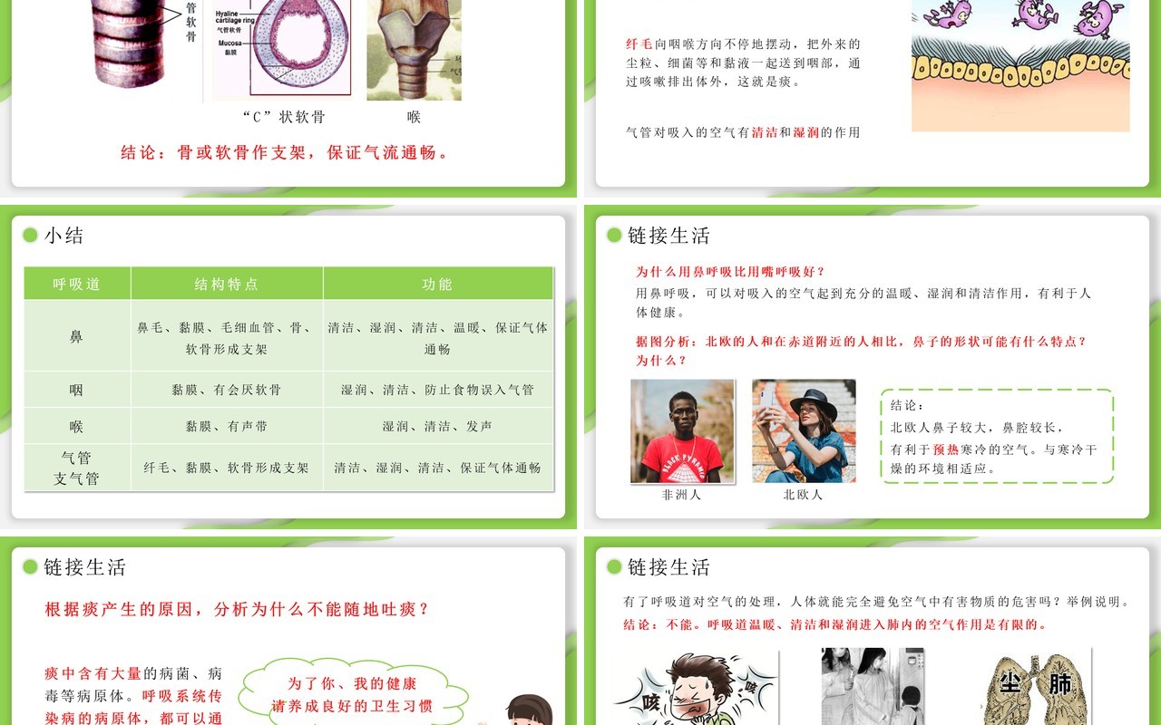 部编版七年级生物下册呼吸道对空气的处理课件PPT模板