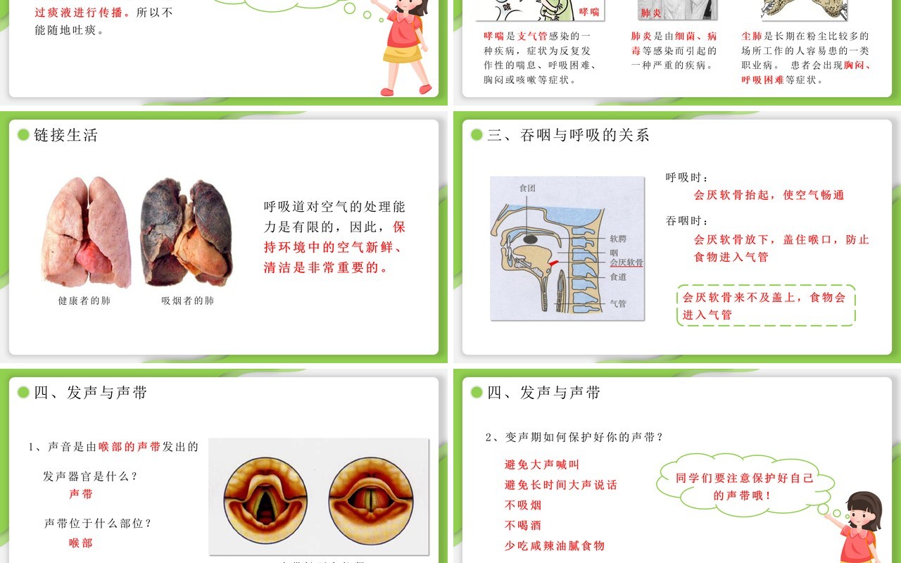 部编版七年级生物下册呼吸道对空气的处理课件PPT模板