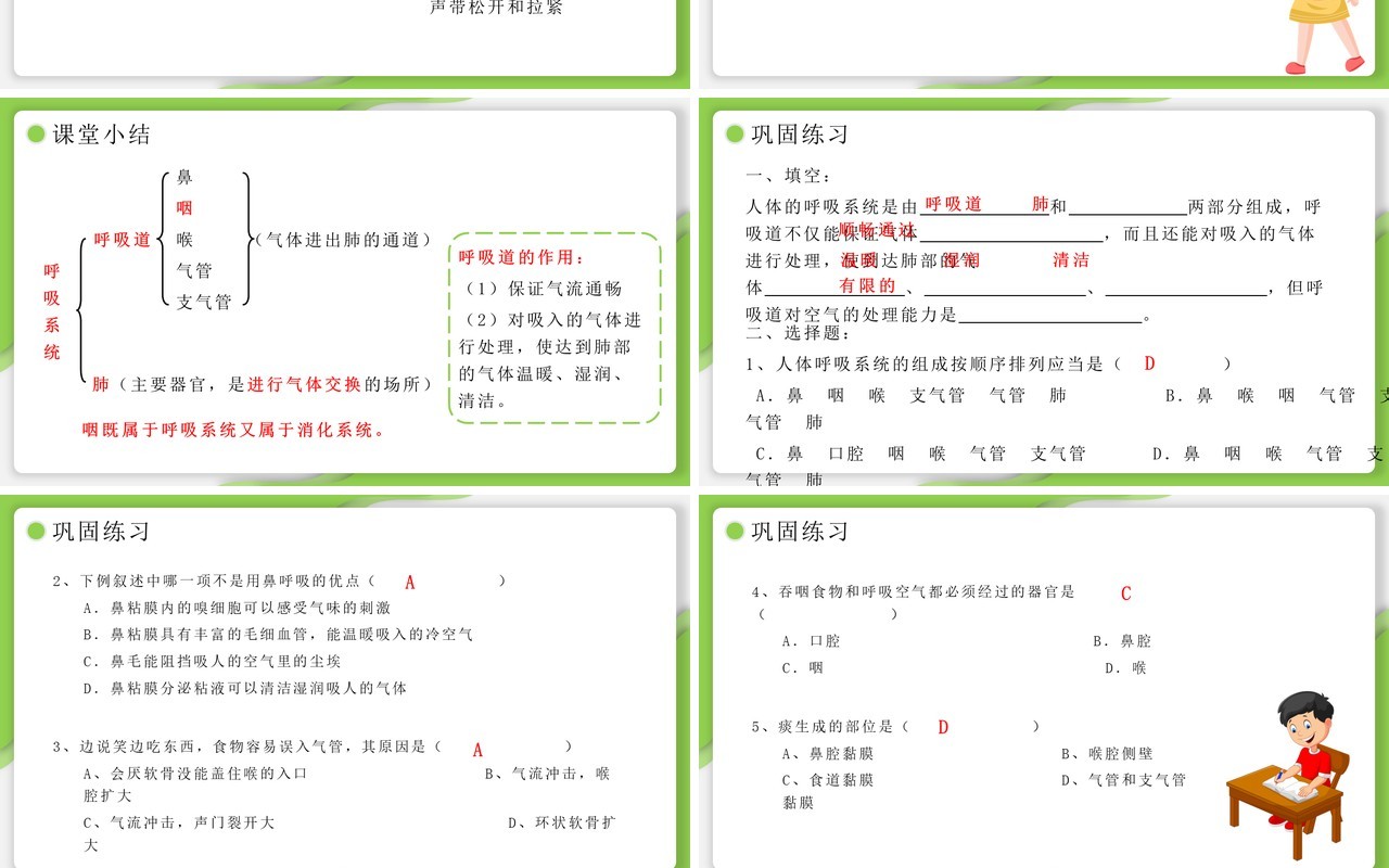 部编版七年级生物下册呼吸道对空气的处理课件PPT模板