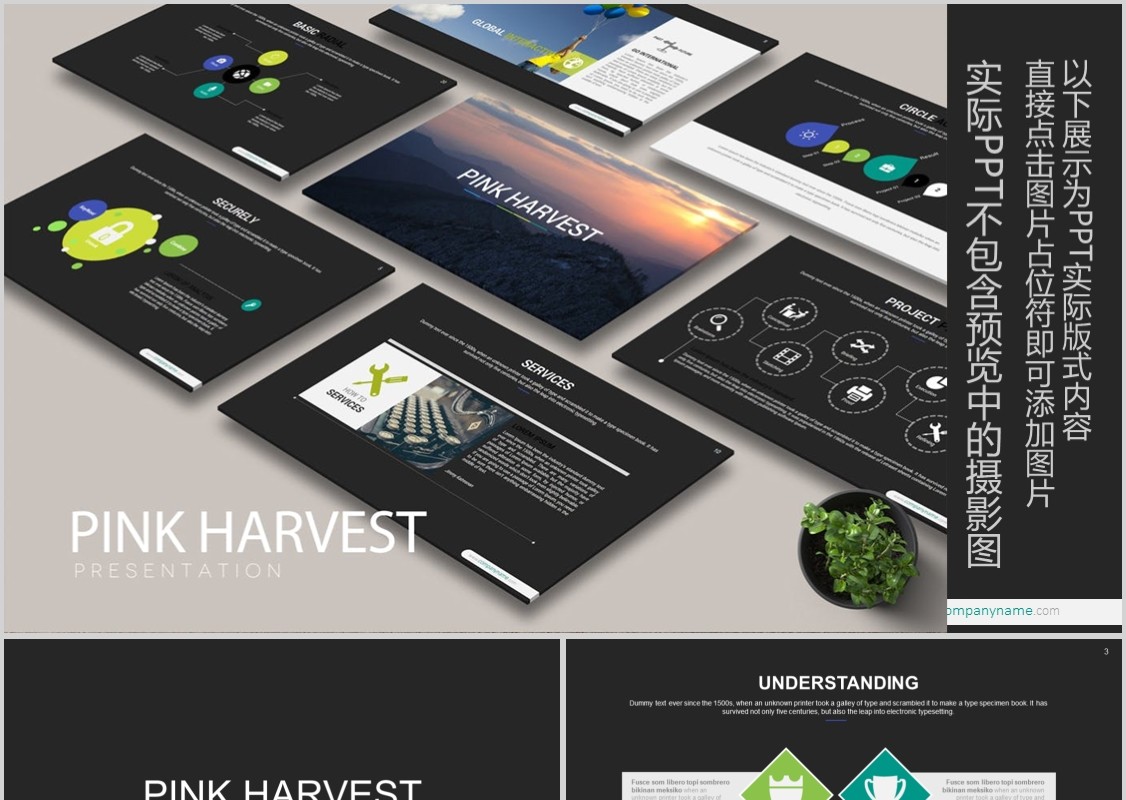 数据分析工作汇报PPT信息可视化模板PINK HARVEST Powerpoint