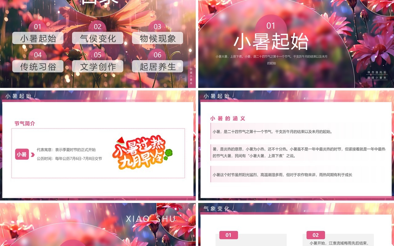 粉色插画风二十四节气之小暑介绍PPT模板