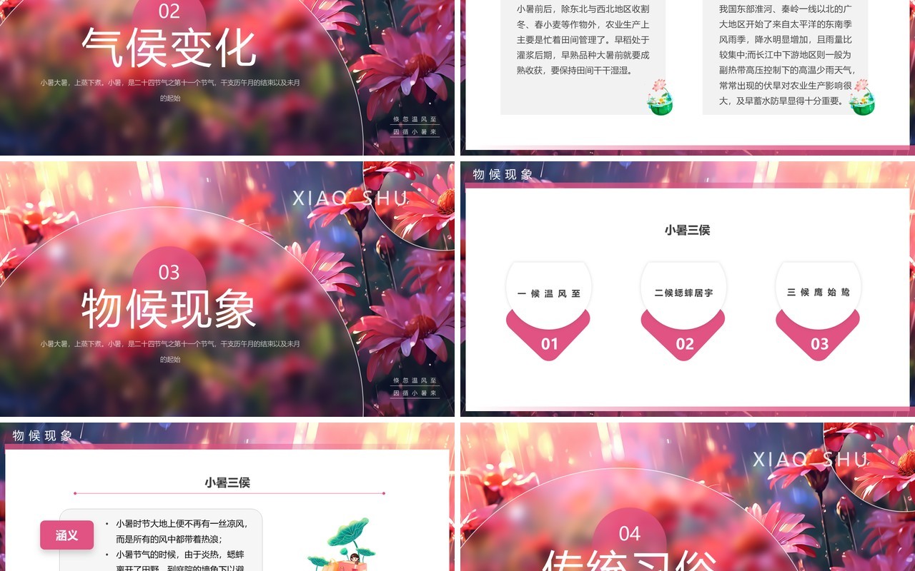 粉色插画风二十四节气之小暑介绍PPT模板