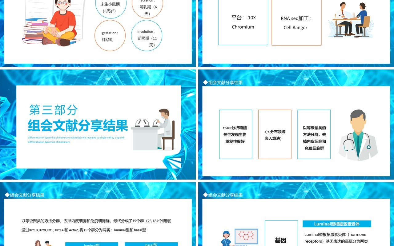 研究上皮细胞的分化动态组会文献分享动态PPT模板