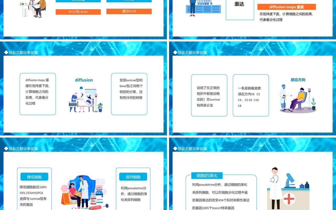 研究上皮细胞的分化动态组会文献分享动态PPT模板