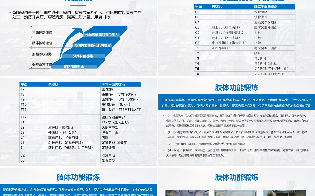 蓝色扁平风脊髓损伤的护理查房简约大气图文结合PPT模板