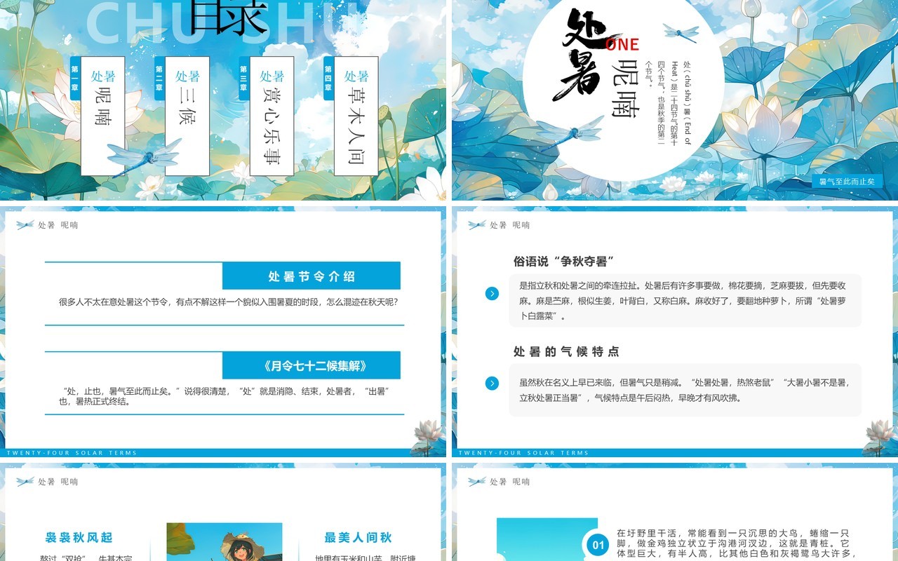 蓝色插画风二十四节气之处暑介绍PPT模板