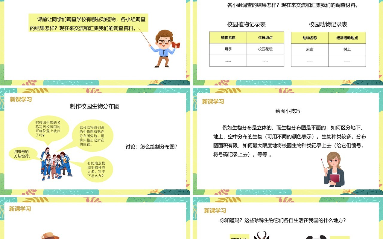 教科版六年级科学上册校园生物分布图PPT模板