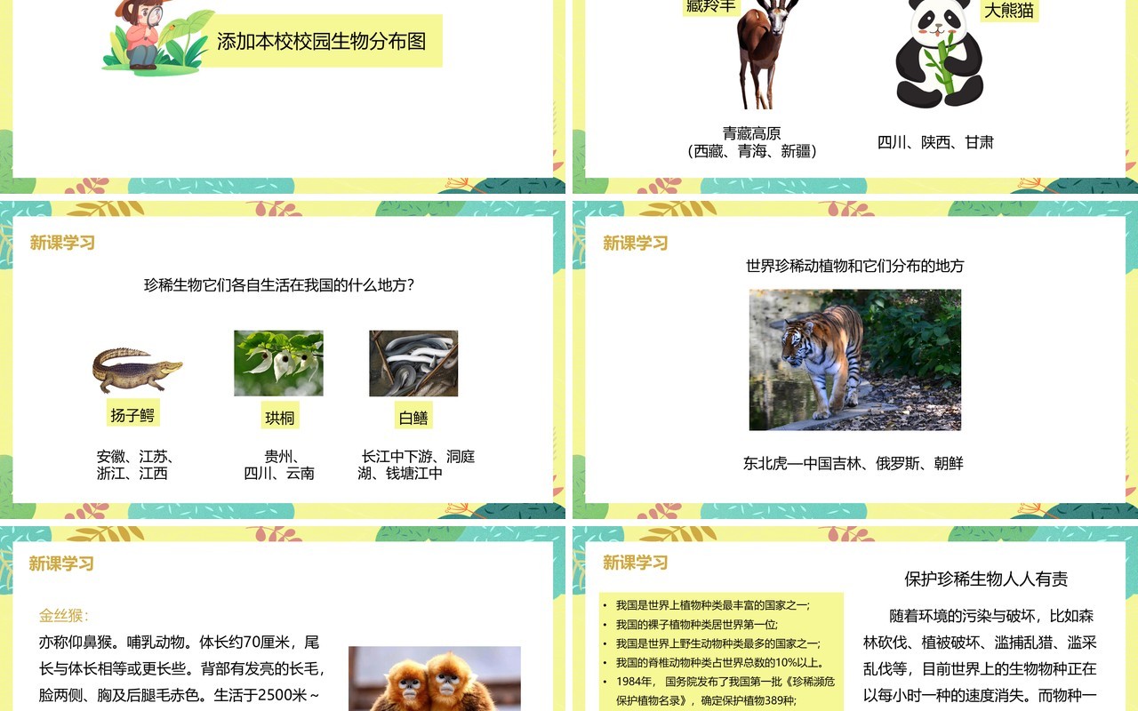 教科版六年级科学上册校园生物分布图PPT模板