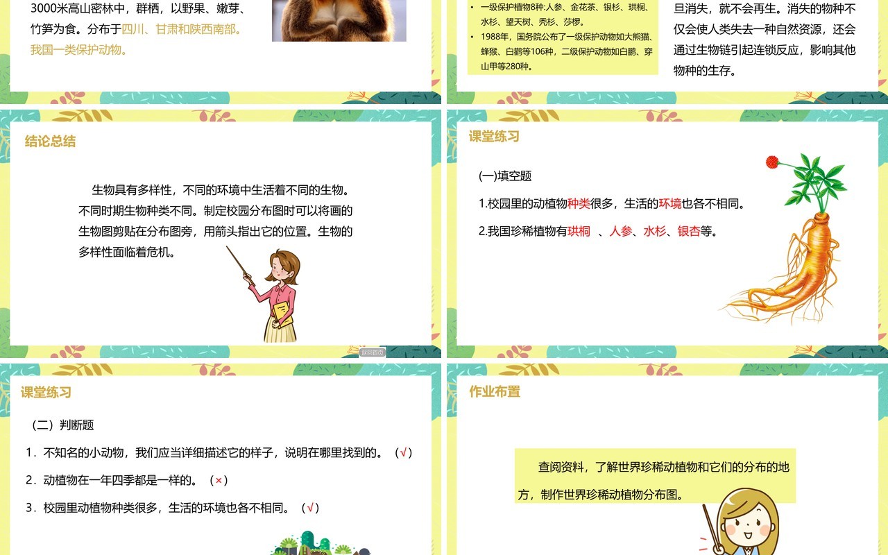 教科版六年级科学上册校园生物分布图PPT模板