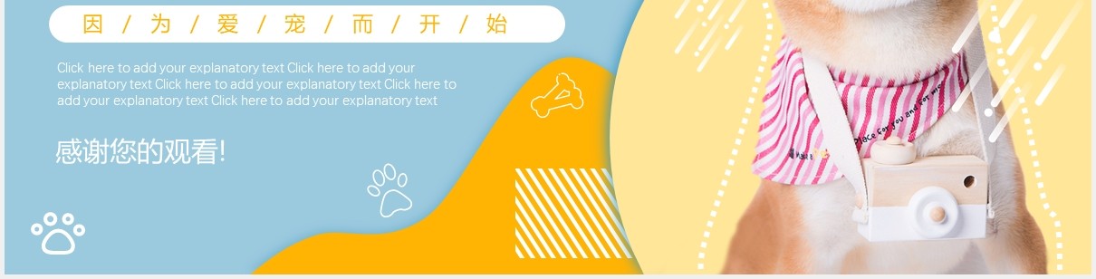 黄蓝活泼可爱宠物用品动态PPT模板