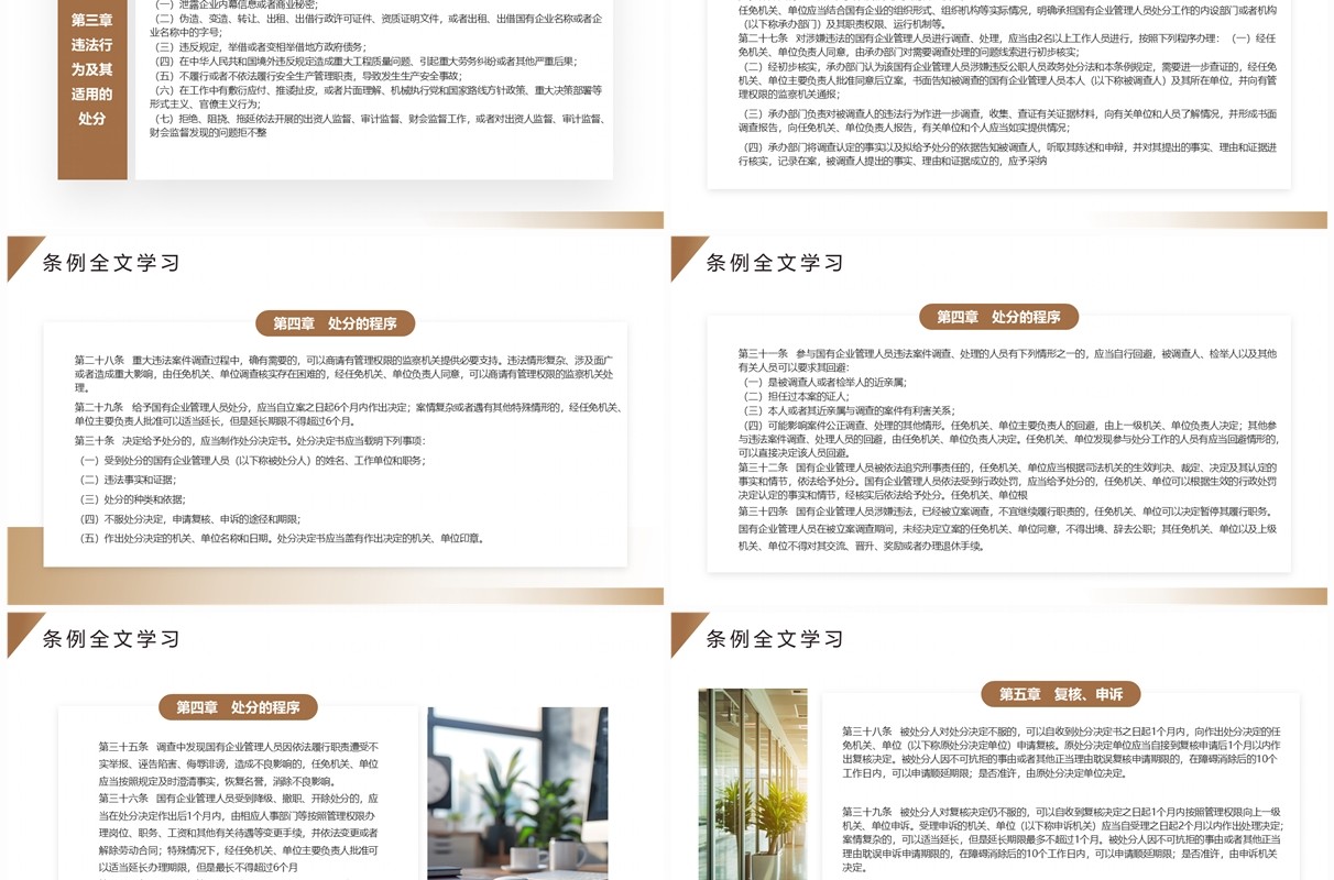 棕色简约风国有企业管理人员处分条例PPT模板