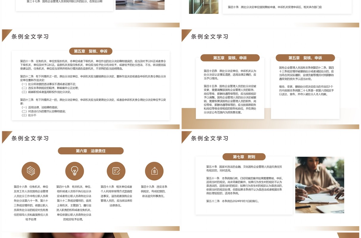棕色简约风国有企业管理人员处分条例PPT模板