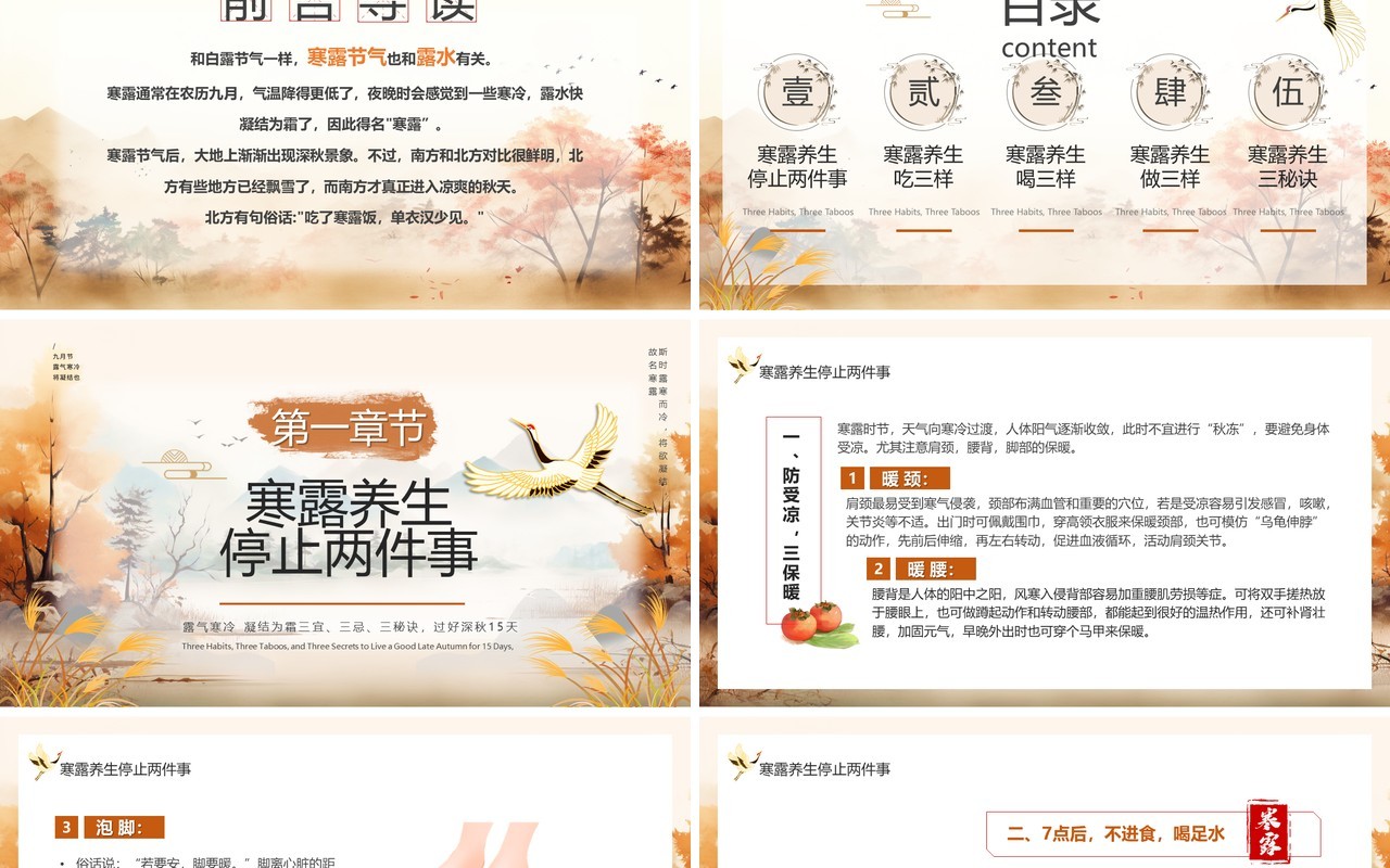 棕色中国风传统二十四节气之寒露PPT模板
