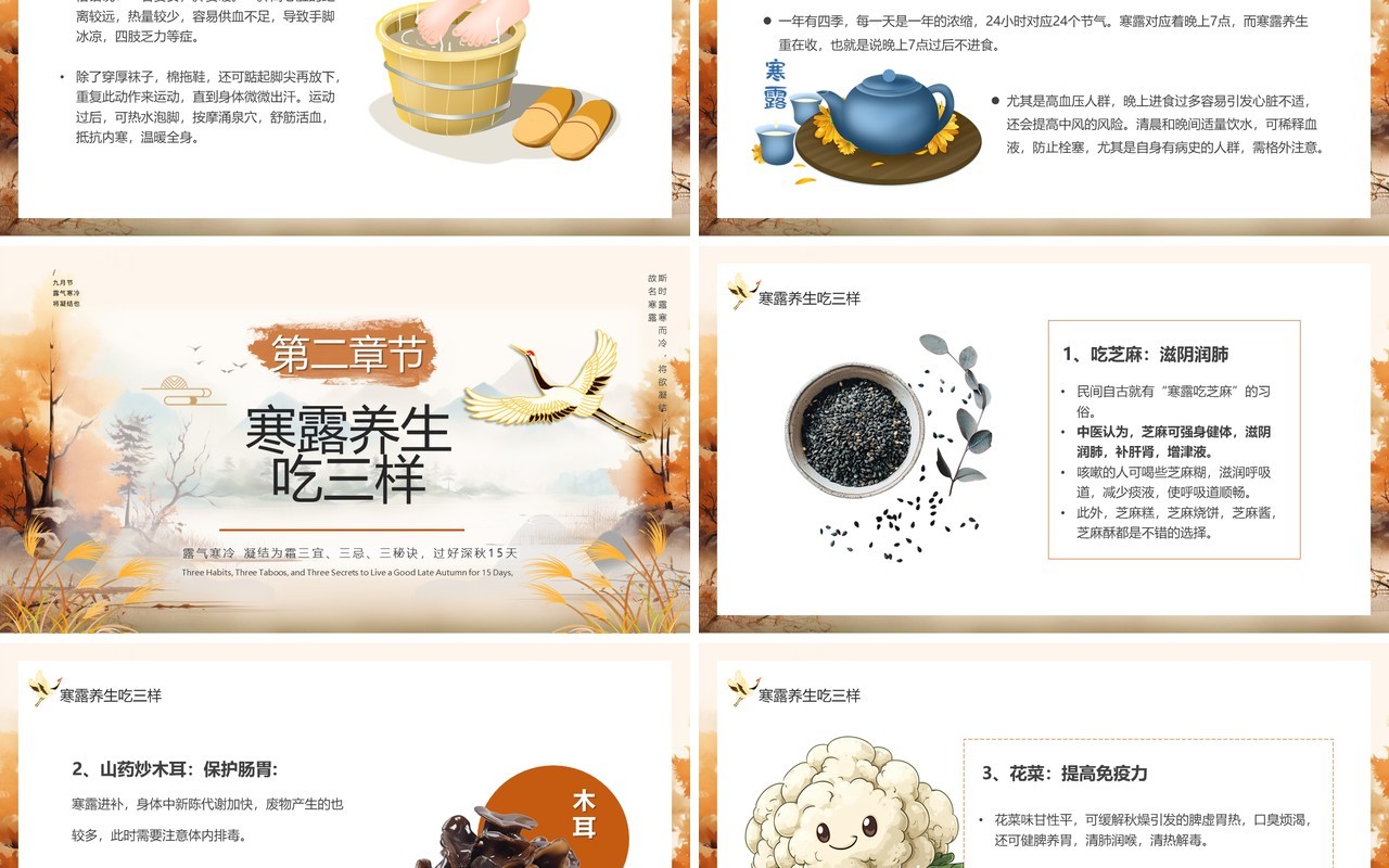 棕色中国风传统二十四节气之寒露PPT模板