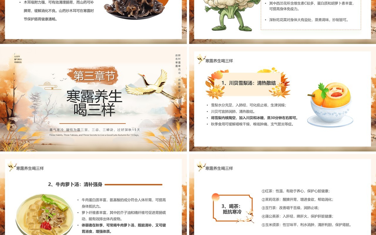 棕色中国风传统二十四节气之寒露PPT模板