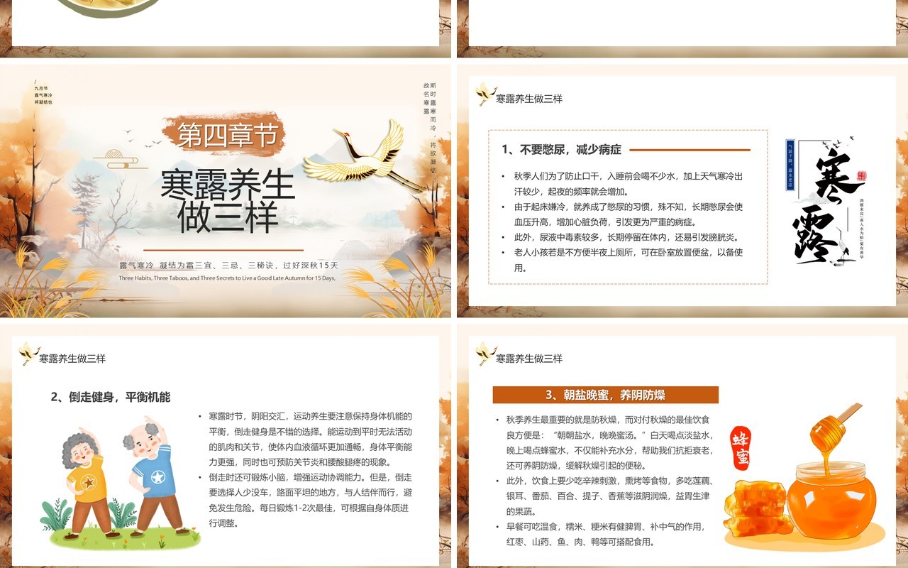 棕色中国风传统二十四节气之寒露PPT模板