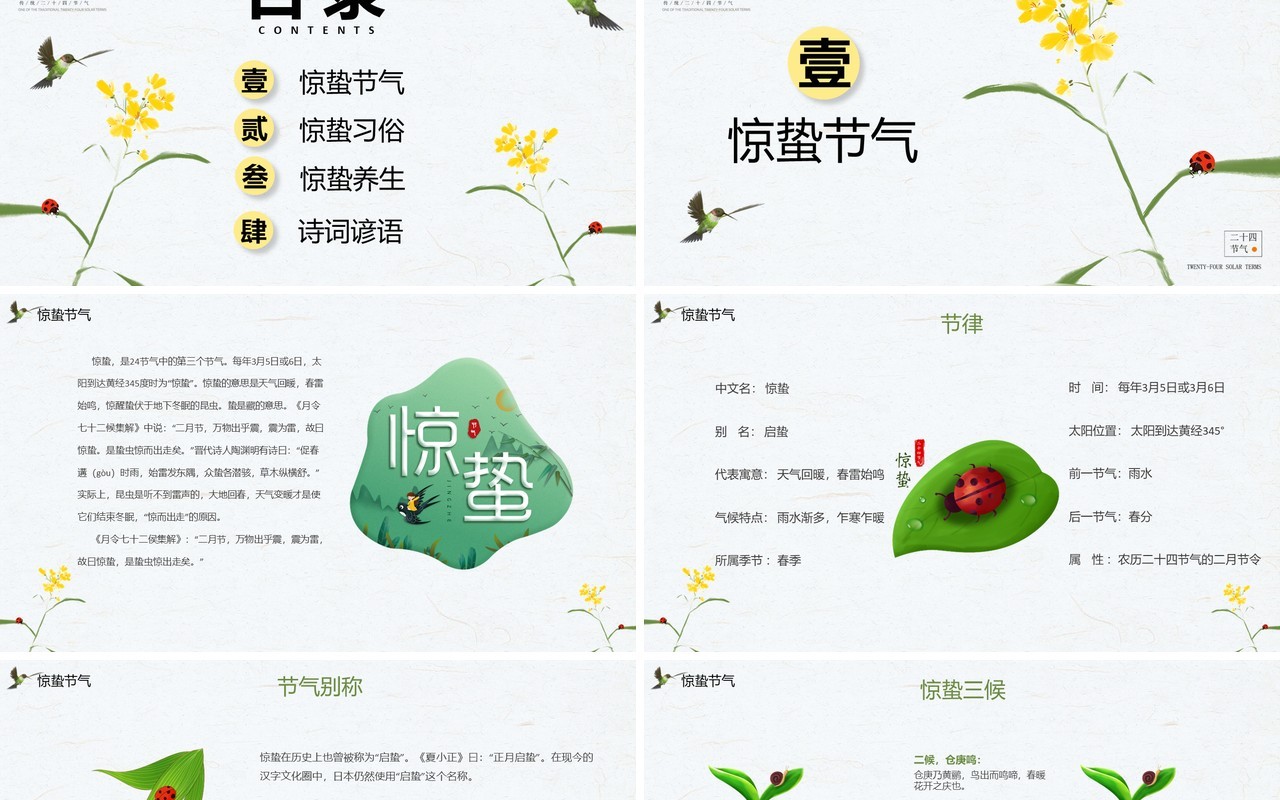 清新手绘风传统二十四节气惊蛰节气介绍PPT模板