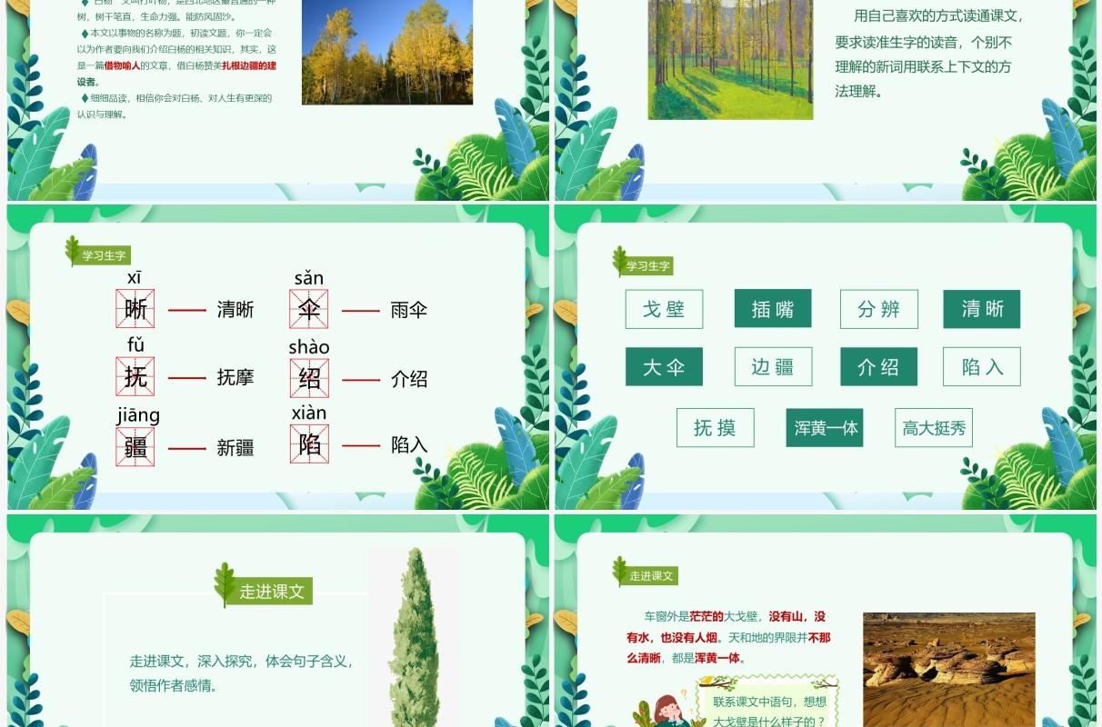 部编版五年级语文下册白杨课件PPT模板