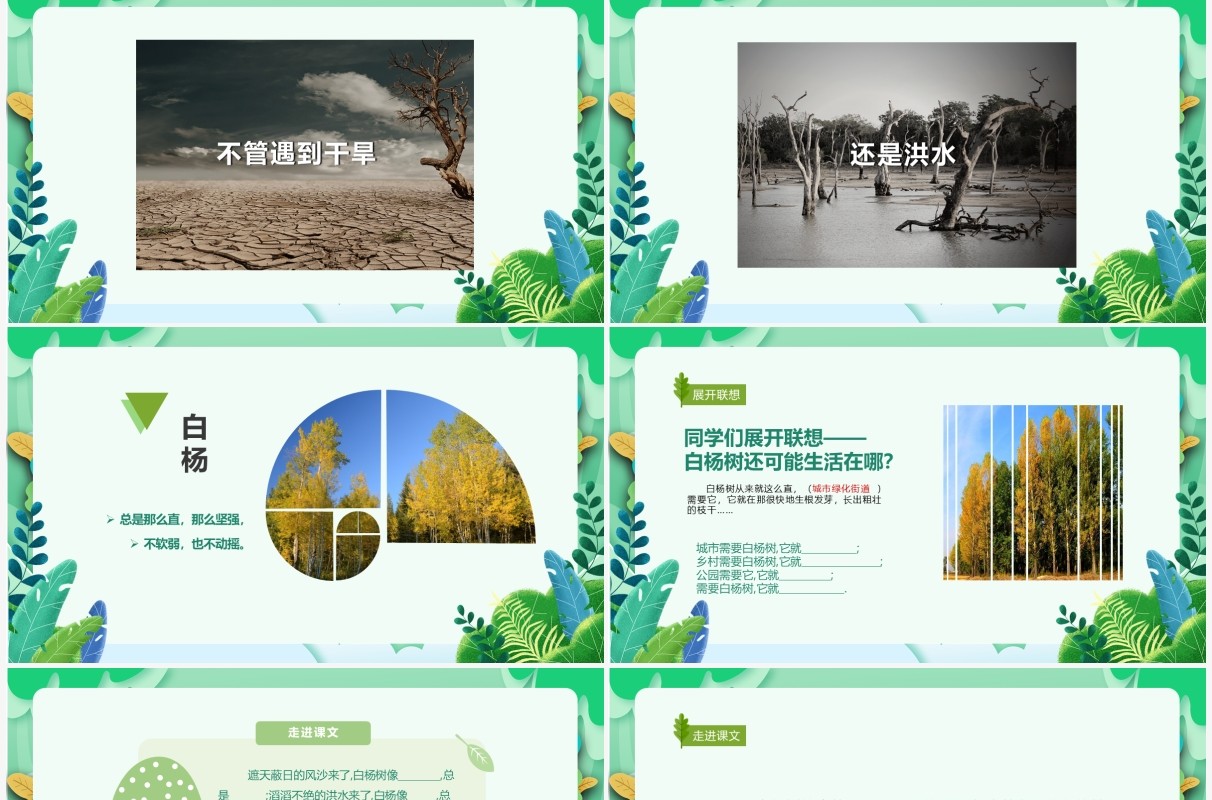 部编版五年级语文下册白杨课件PPT模板