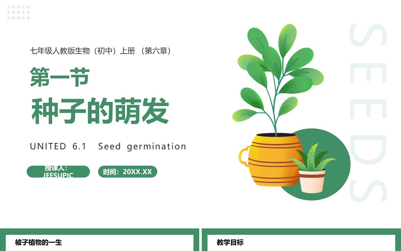 部编版七年级生物上册种子的萌发课件PPT模板